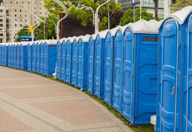 Seasonal porta potty units set up at a Lockport, New York venue